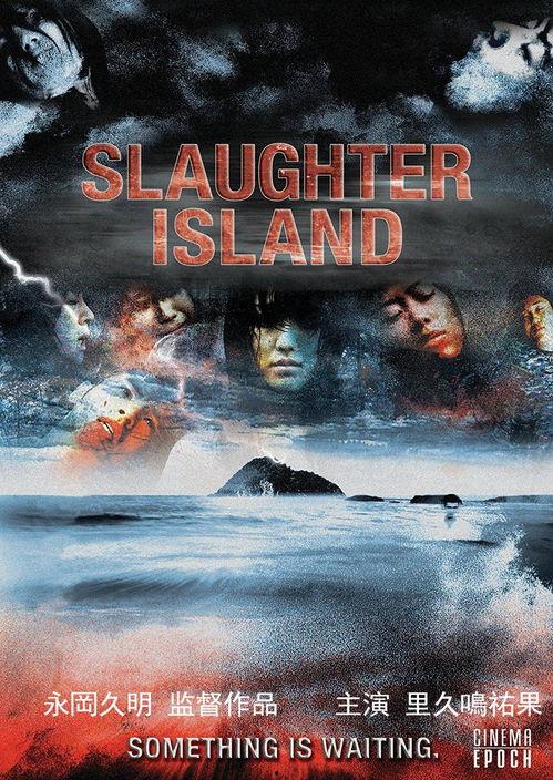 诅咒岛最新爆料,神秘遗迹与未解之谜揭开面纱